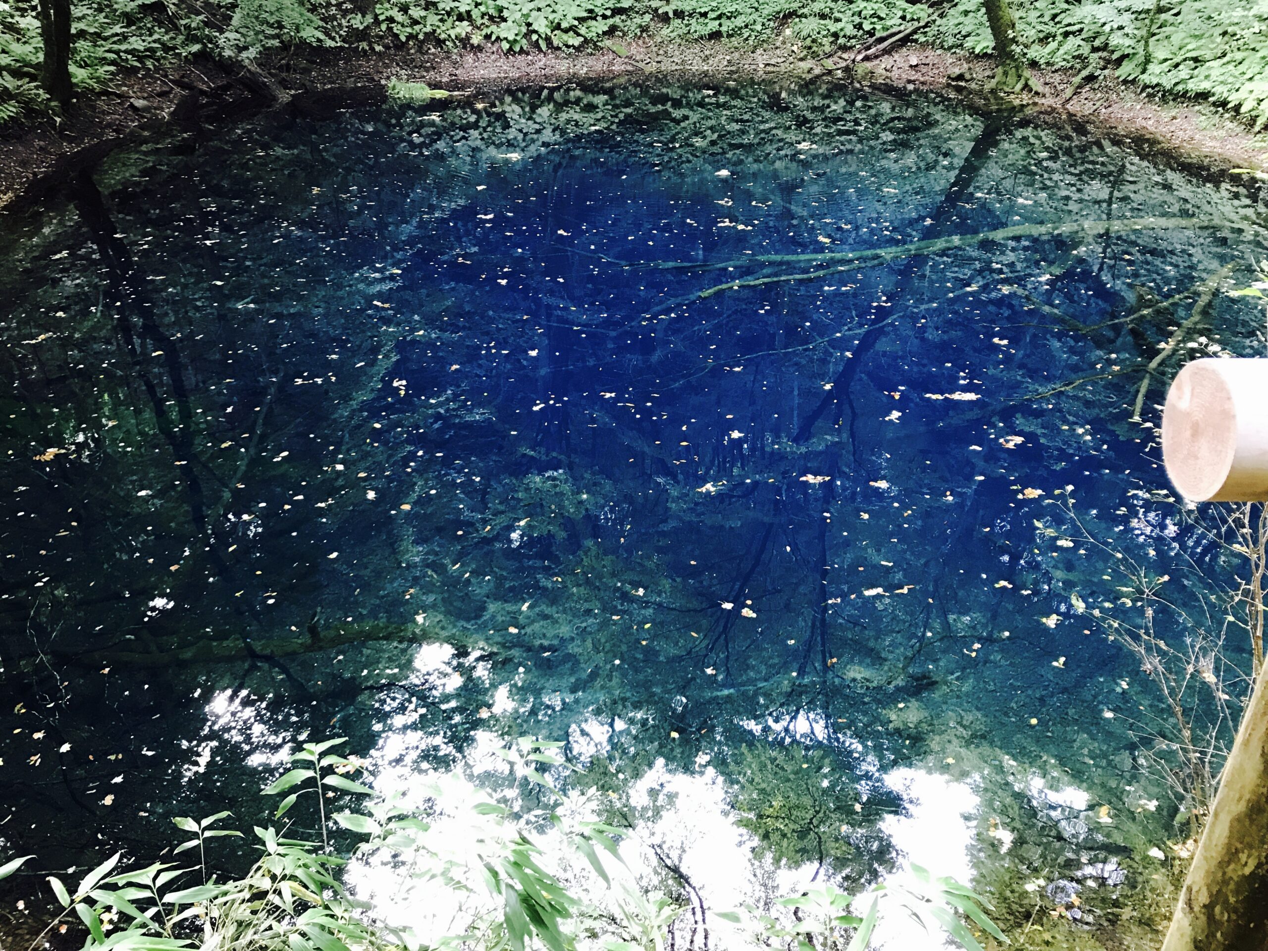 魔法のような青い神秘の池・青池in白神山地 | カコマナパパブログ